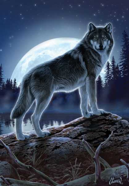 Как зовут волка который гоняется за луной?