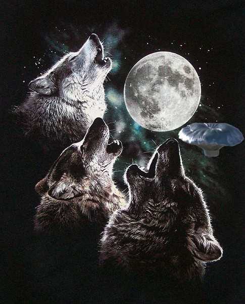 Лунатик: кто такой волк, который подкатывал к луне?