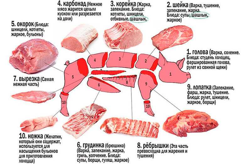 Какая часть мяса у свинины не жирная?