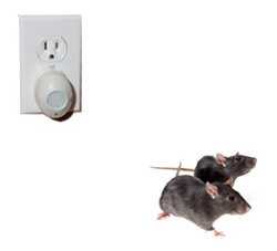 Какая частота отпугивает мышей и крыс в доме в герцах?