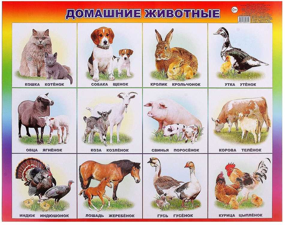 Эмоциональное благополучие
