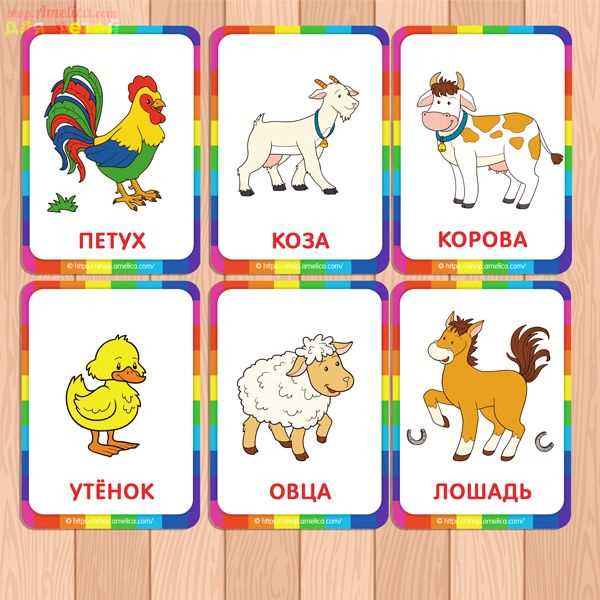 Домашние животные и их польза для детей
