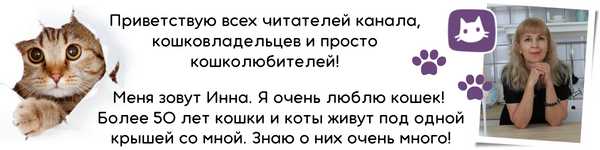 Как выбрать имя, которое будет легко запомнить?