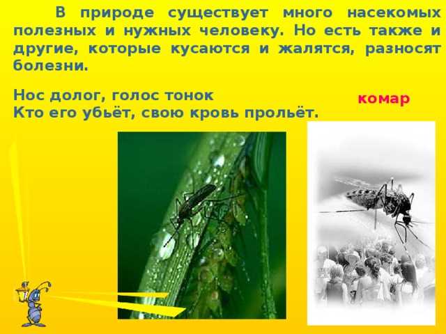 Раздел 2: Польза насекомых в сельском хозяйстве