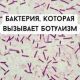 Опасные микробы для человека: топ самых опасных