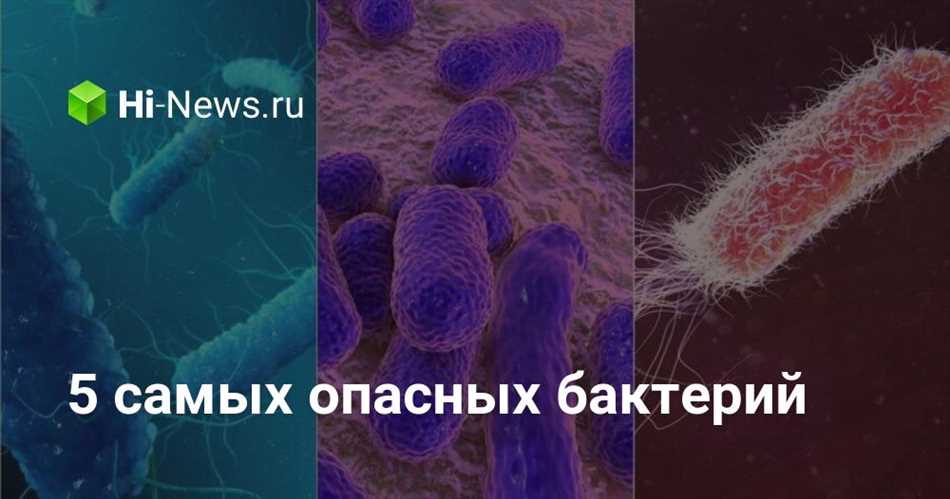Заключение