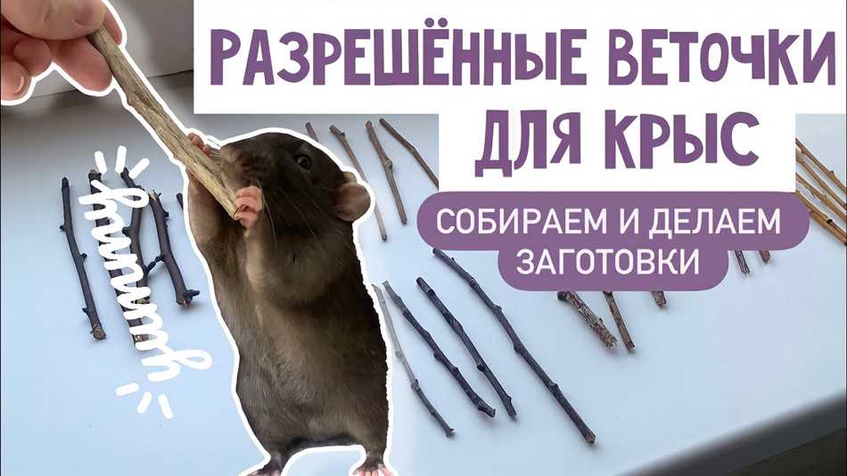 Природные потребности