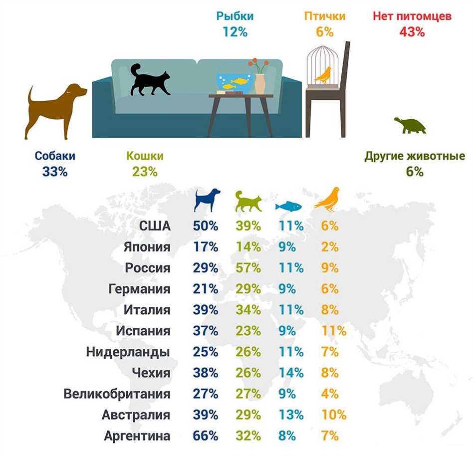 Какие животные есть в Австралии из домашних?