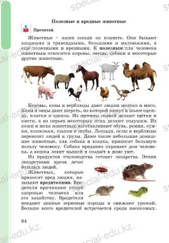 Экзотические животные