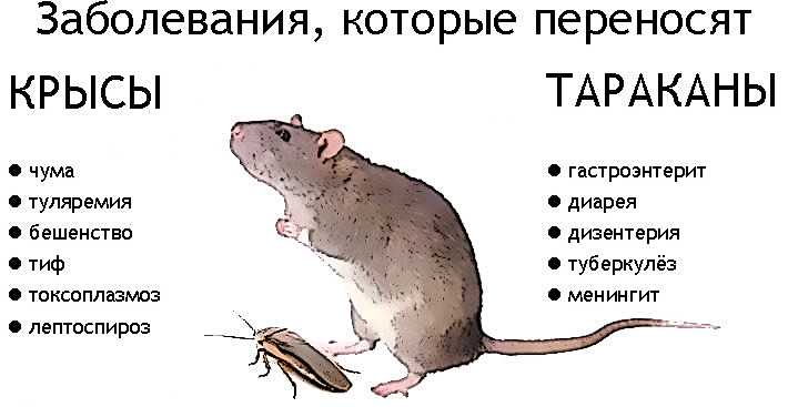 Подраздел 2.2: Экономический вред для сельскохозяйственных предприятий и промышленности