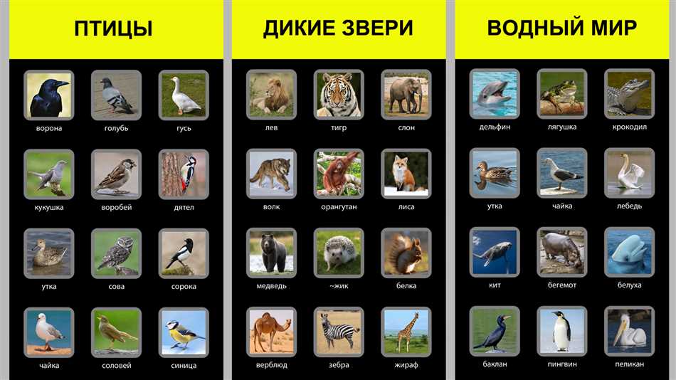 Звуковая имитация у животных