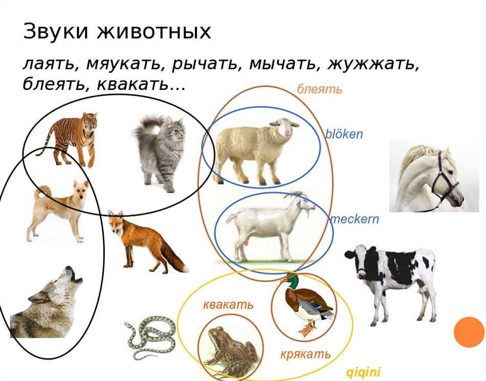 Какие звуки издают животные?