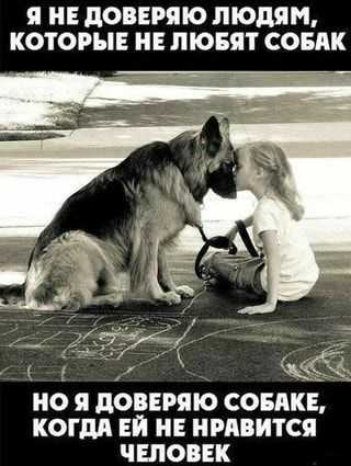Каких животных люди не любят?