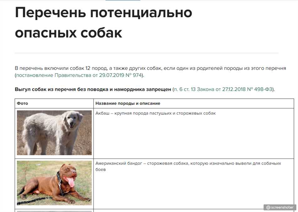 Какие животные нельзя держать в квартире?