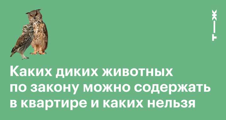 Каких животных можно держать в квартире по закону?