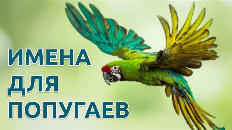 Какое имя можно дать птенцу девочке?
