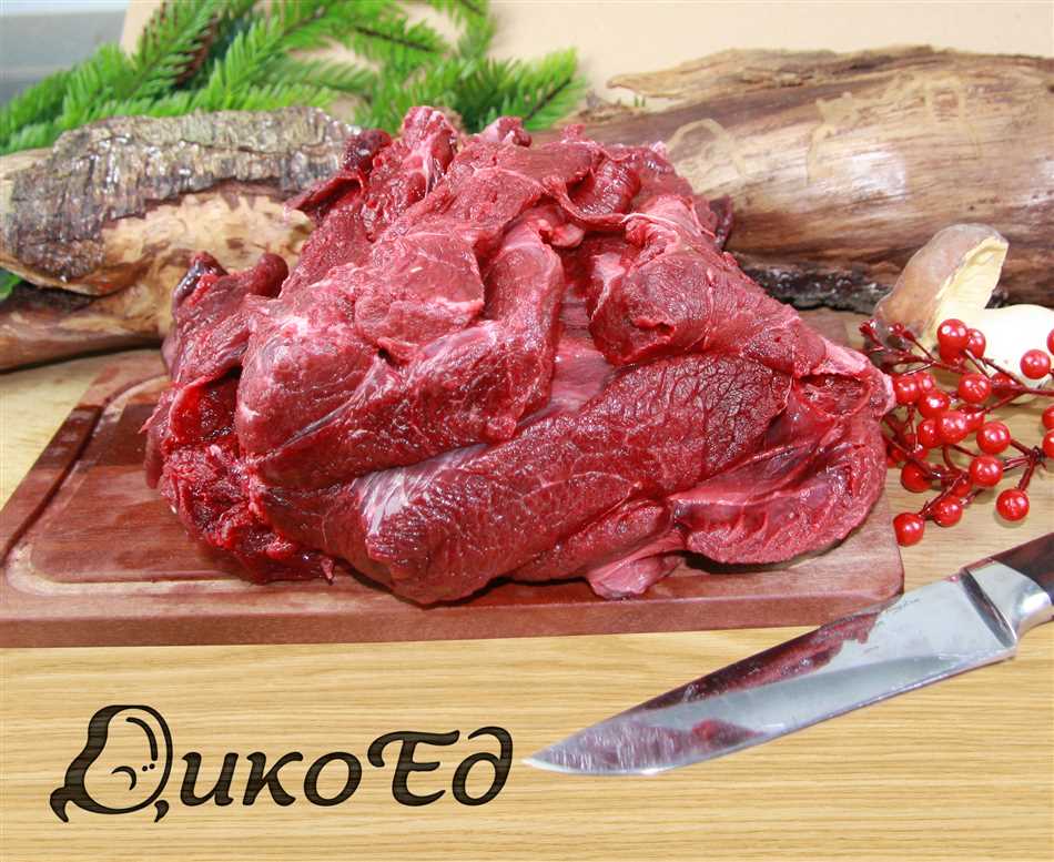 Особенности приготовления медвежьего мяса