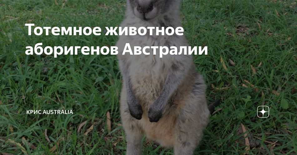 3. Вомбаты строят подземные норы, которые могут простирается на несколько километров.