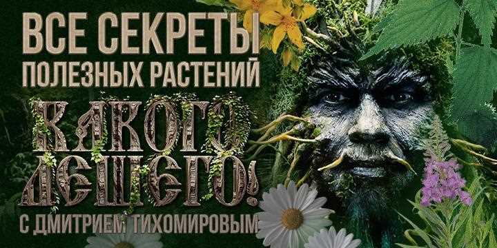 Леший в современной культуре