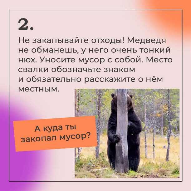 Миф #5: Медведи боятся грома