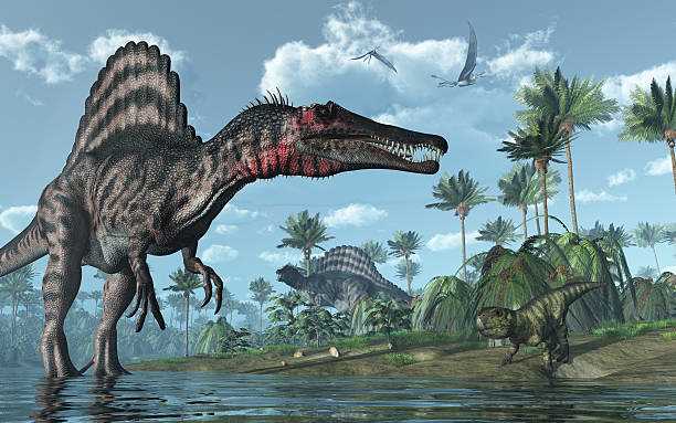 Сравнение с другими крупными динозаврами