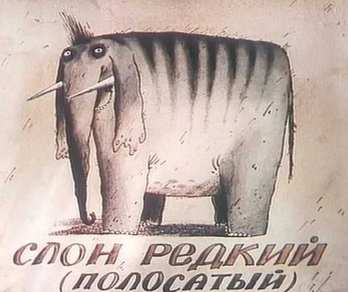 Образ жизни слона