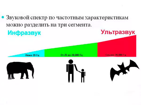Применение ультразвука в медицине