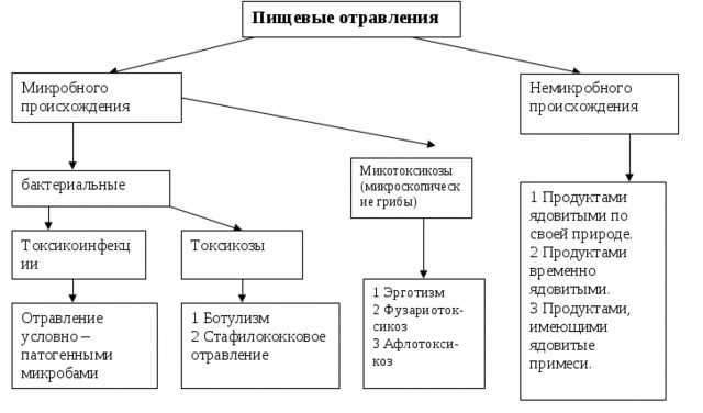 Рвота и тошнота: симптомы пищевого отравления