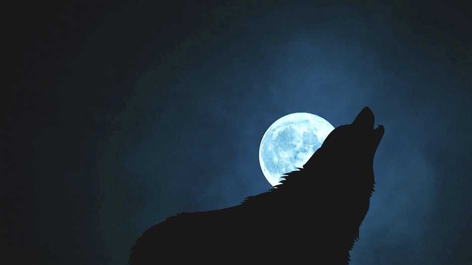 Когда будет волчья луна?