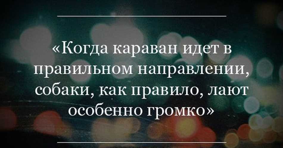 Когда караван идет собаки лают?