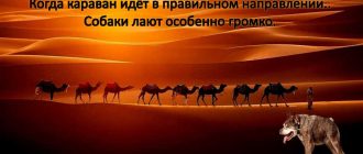 Почему собаки лают особенно громко, когда караван идет в правильном направлении?