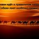 Почему собаки лают особенно громко, когда караван идет в правильном направлении?