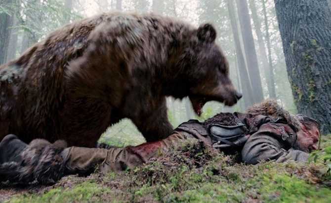 Когда медведь нападает на человека?