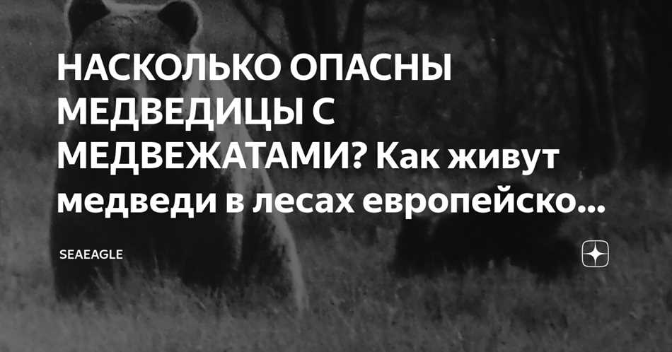 Встречи после разлуки: случаи взаимного возвращения