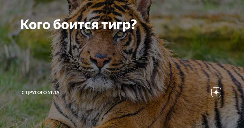 Раздел II. Враждебные отношения с другими животными