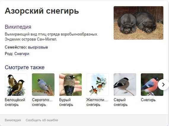Хряк в древнегреческой мифологии