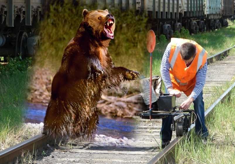 Особенности в лесном и горном рельефе