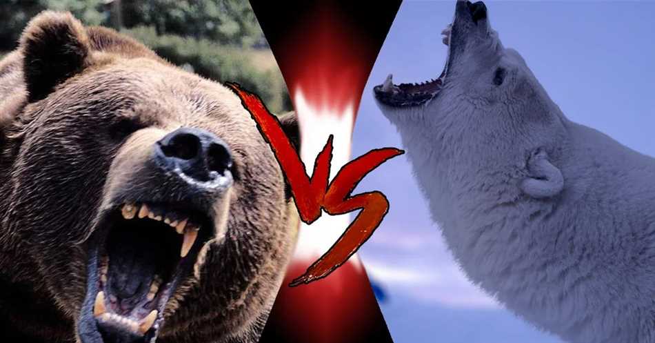 Кто больше белый или бурый медведь?