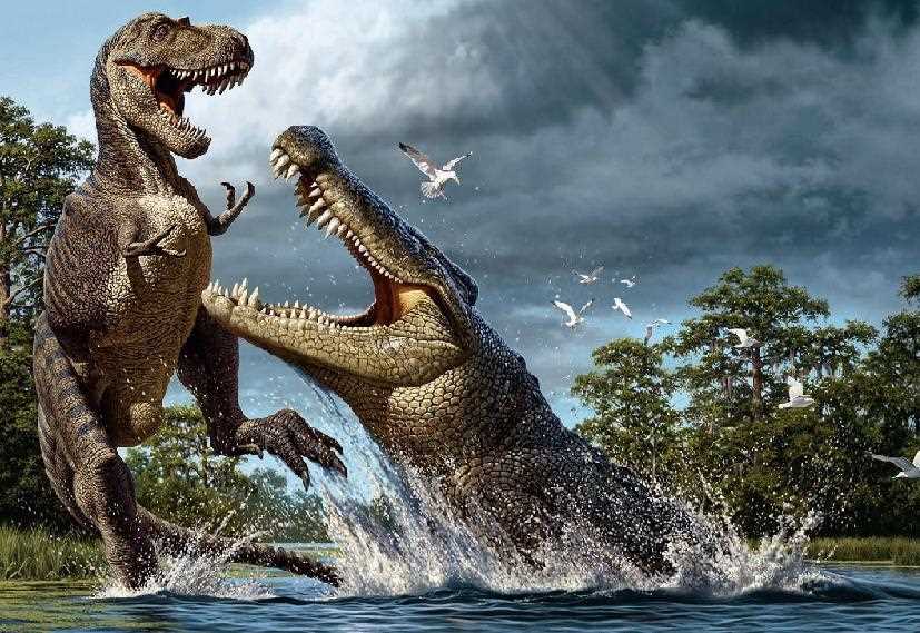 Кто больше крокодил аллигатор или кайман?