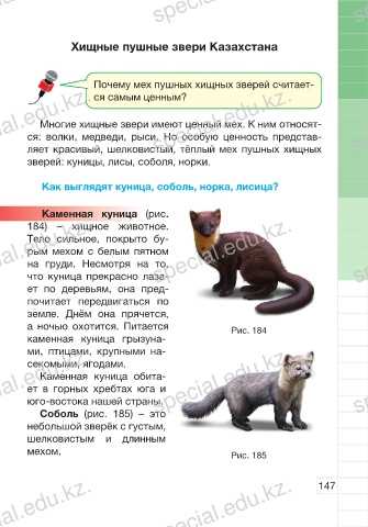 Кто из зверей имеет ценный мех?