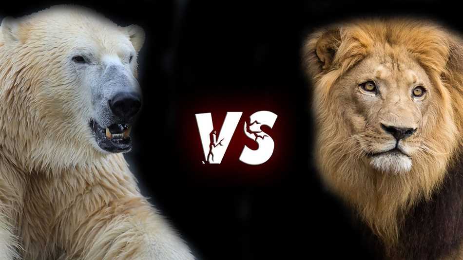 Кто сильнее: буйвол или медведь?