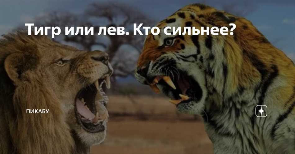 Кто сильнее человек или тигр?