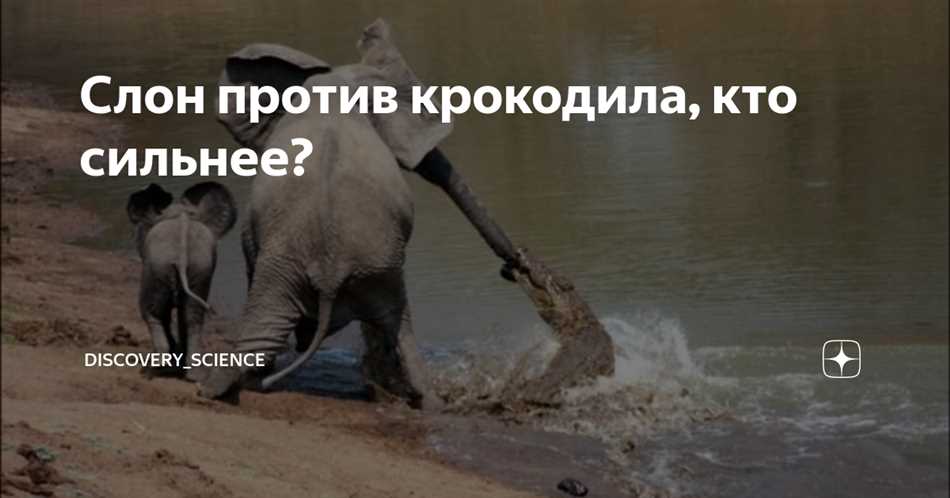Места обитания крокодилов