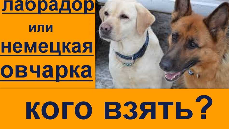 Физические характеристики
