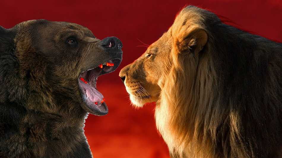 Кто сильнее лев или белый медведь?