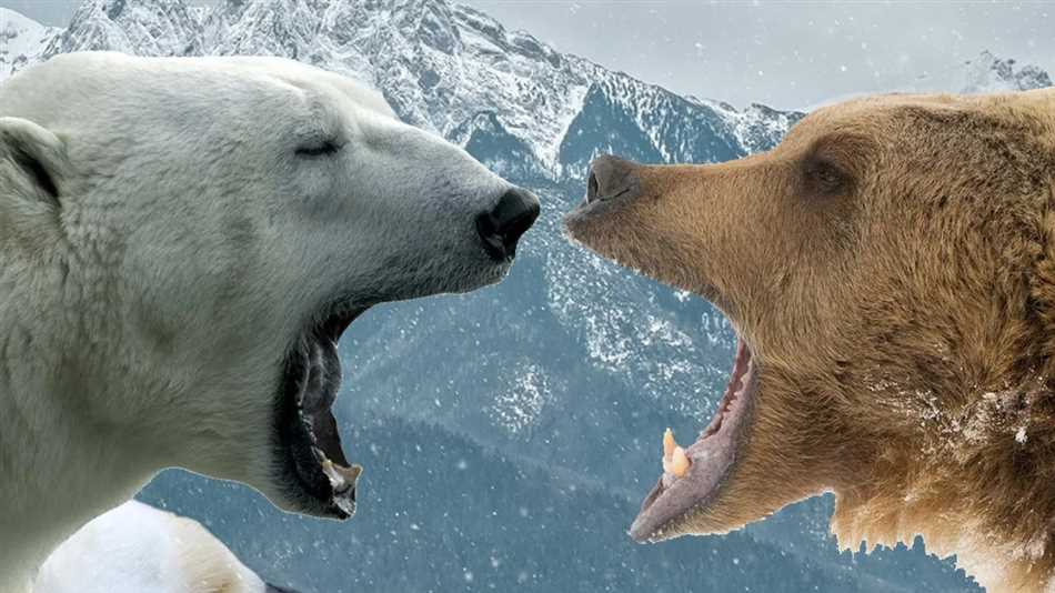 Кто сильнее медведь или бегемот?