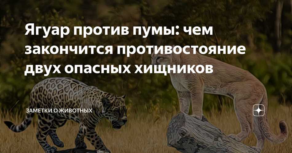 Физические характеристики