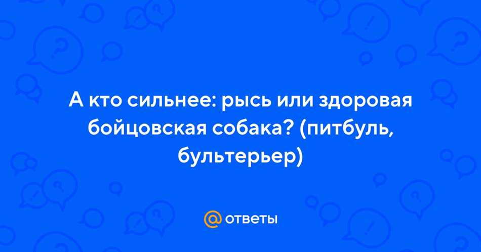 Сравнение силы и возможностей рыси и собаки