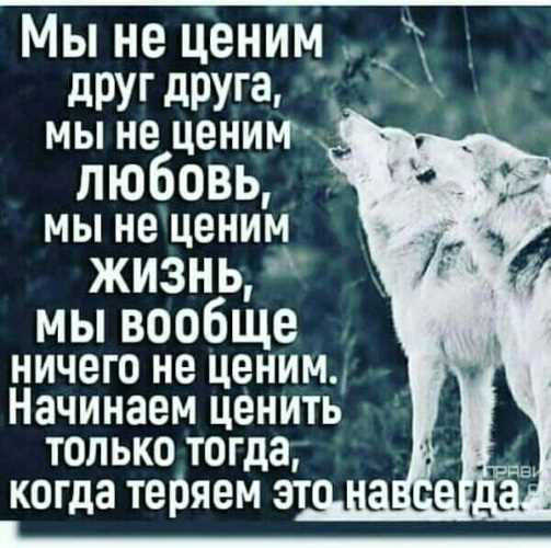 Кто сказал цитату мы начинаем ценить когда теряем?