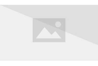 Описание неферпиты в аниме Хантер